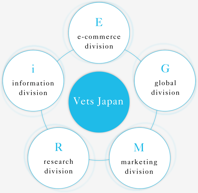 e-commerce_vetsjapan