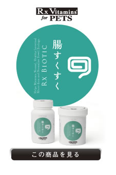 腸すくすく Rx Biotic